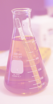 Erlenmeyer